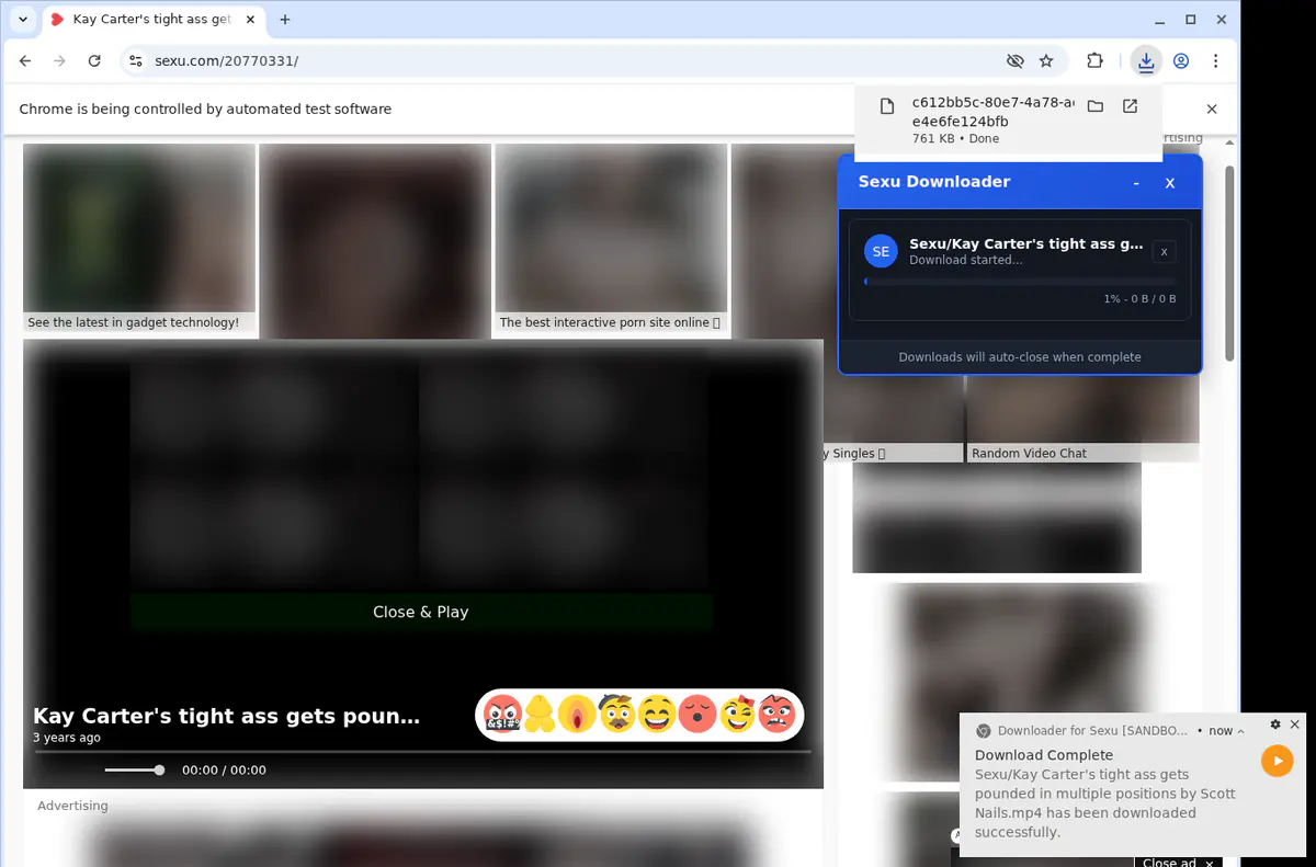Sexu Video Downloader screenshot 2