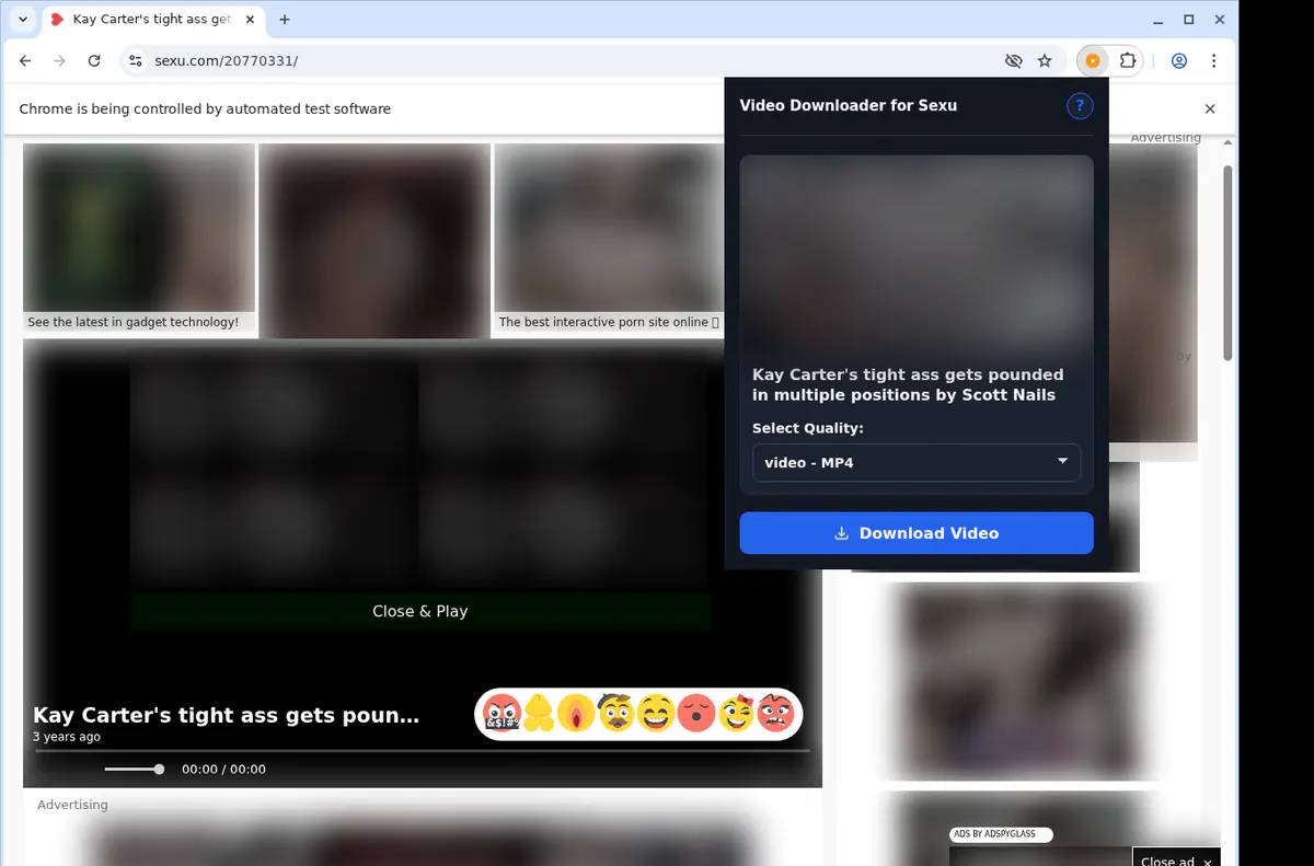 Sexu Video Downloader screenshot 3